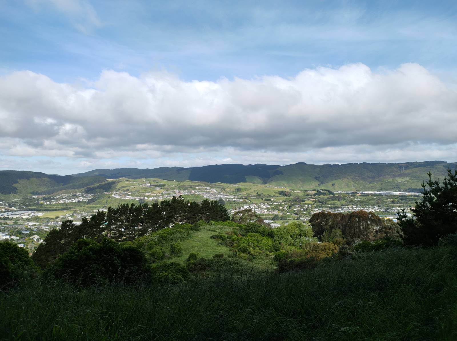 2021-11-26 forest of tawa top view 2
